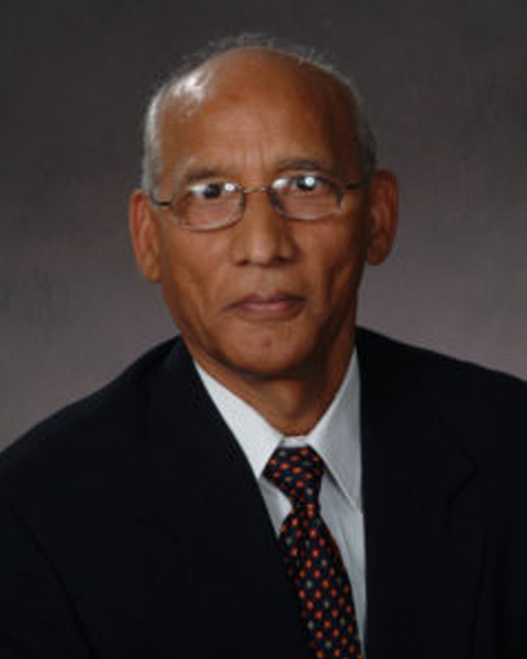 Professor Vijay Singh